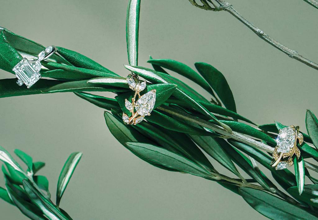 Botanical