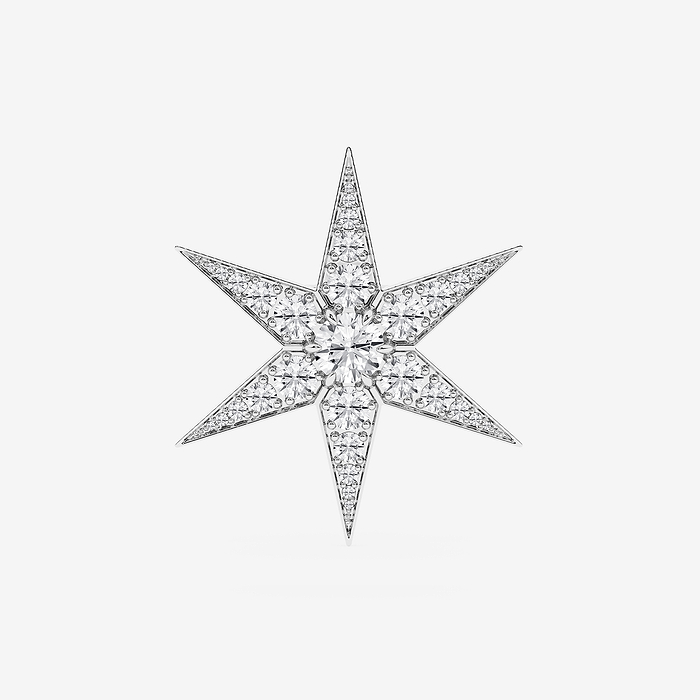 Round Star Pin