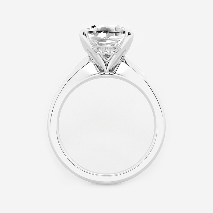 Briel - 4 ctw Cushion Lab Grown Diamond Hidden Halo Engagement Ring